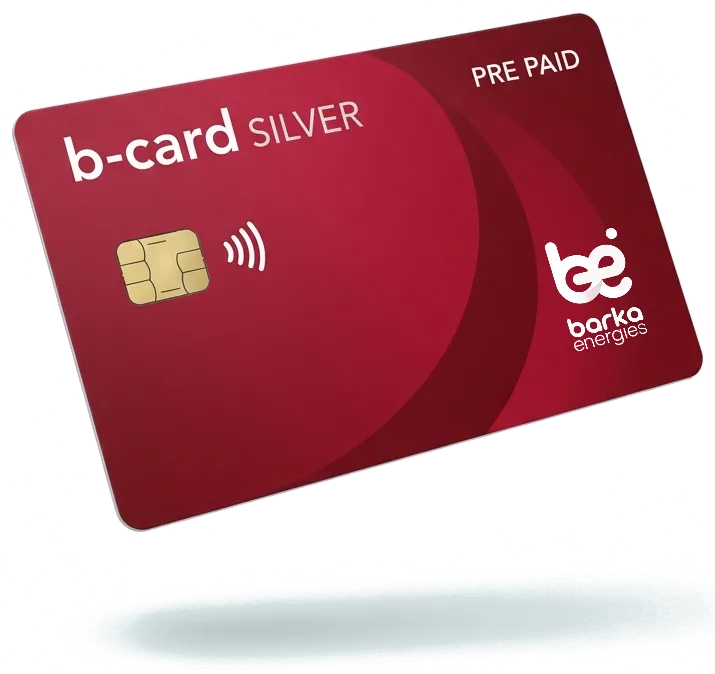 b-card Silver